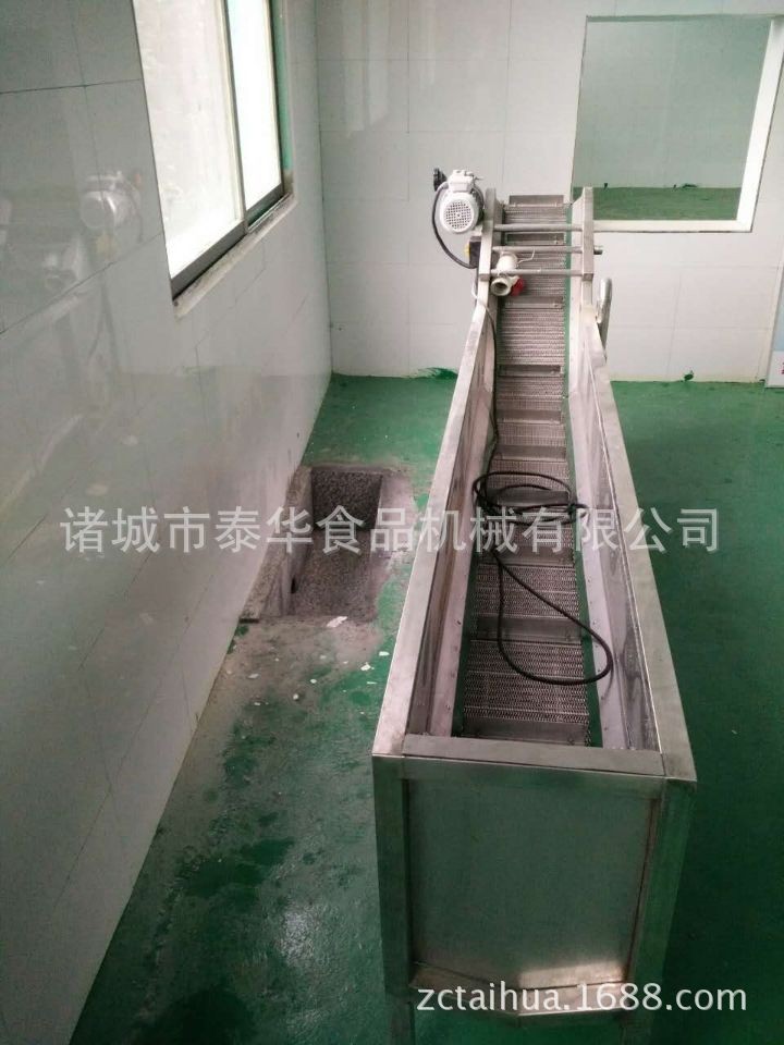 小型番茄气泡清洗机 番茄西红柿小型清洗设备 蔬菜泥土表面清洗图4