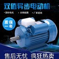 厂家直销纯铜220V异步双值电动机2.2KW1450转速马达图2