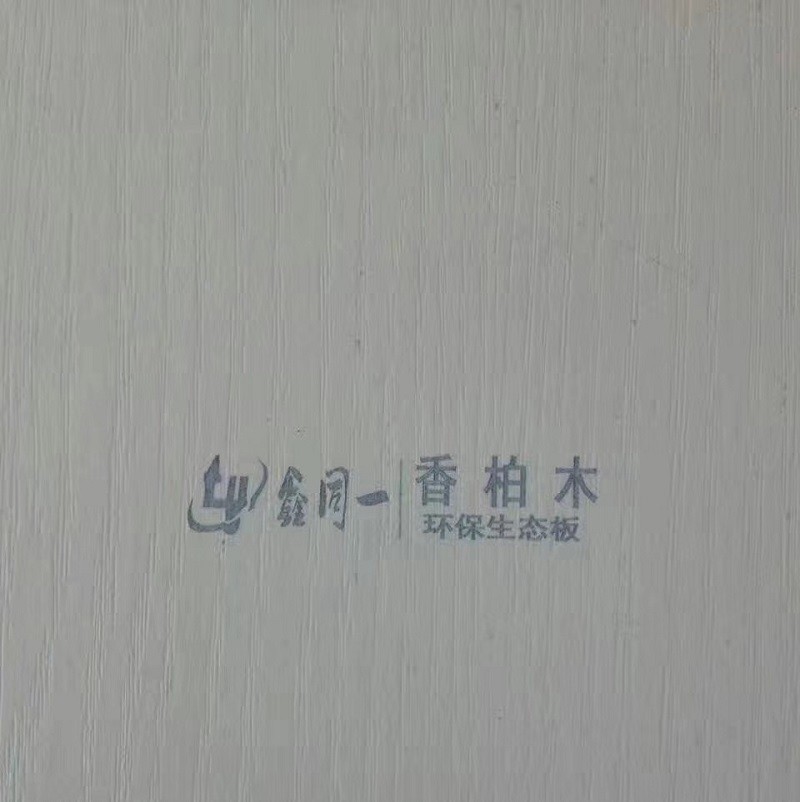 现货供应纸箱纸盒标签平面二维码logo高解析打标机喷码机图3