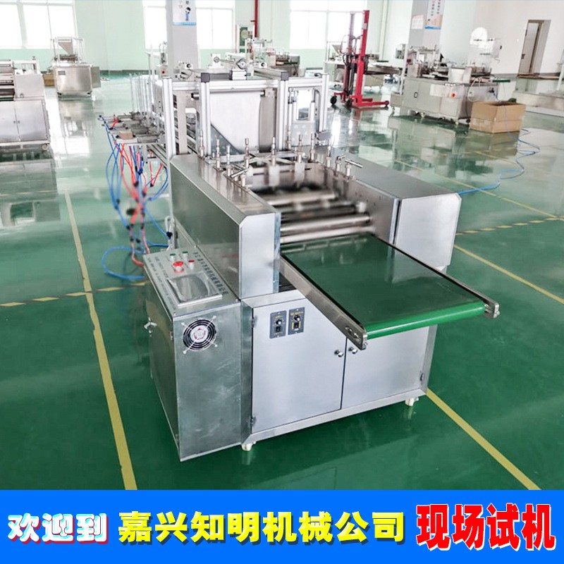 水凝胶退热贴包装机，四边封退热贴包装机，嘉兴知明机械图2