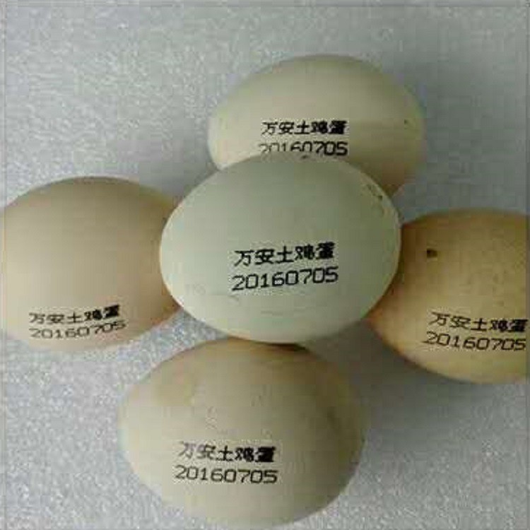 微字符喷码机 生产日期喷码机 半导体激光喷码机 小字符喷码机图3