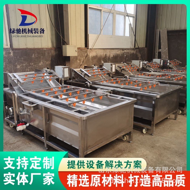 绿驰莲子气泡清洗机 全自动冲浪式清洗设备 不锈钢果蔬清洗机器图4