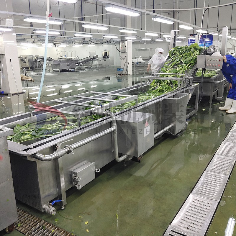 绿驰商用果蔬气泡清洗机高压喷淋式大姜清洗设备 豆角清洗机图3