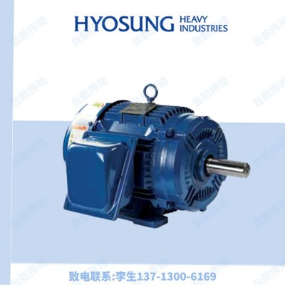 韩国HYOSUNG晓星电机TEFC/HSX系列高效铸铁三相异步电动机HYOSUNG