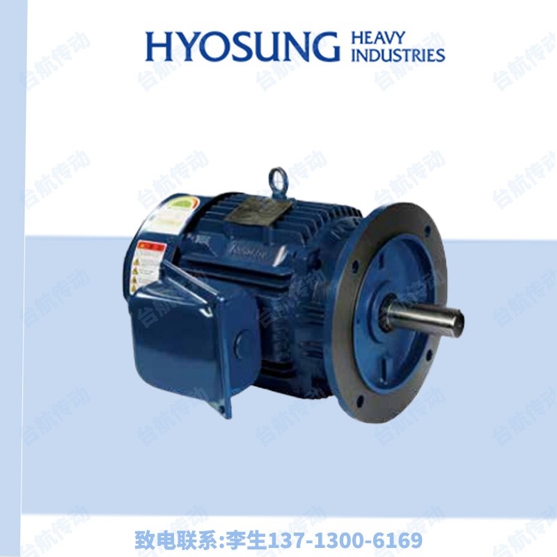 韩国HYOSUNG晓星电机TEFC/HSX系列高效铸铁三相异步电动机HYOSUNG图2