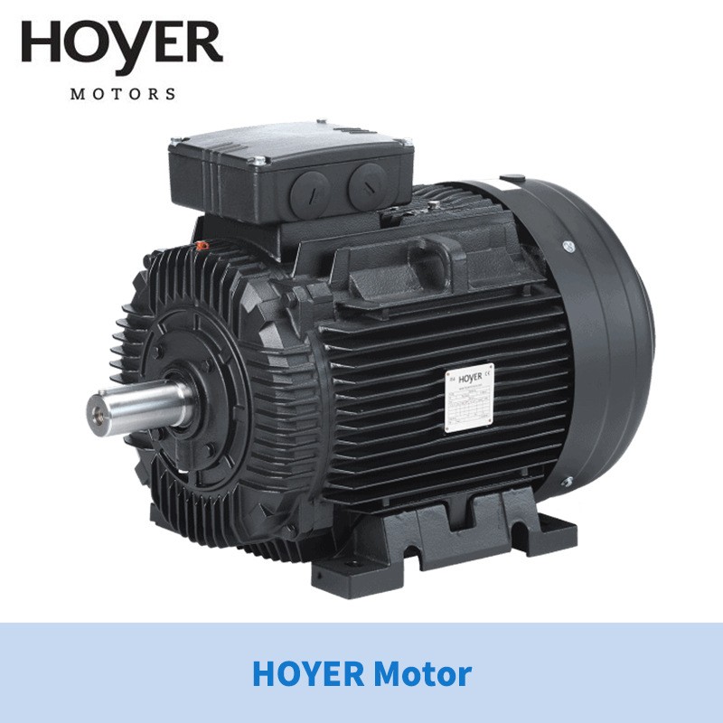 供应丹麦HOYER电机HOYER Motors霍尔三相异步电机/工业/船用电机图3