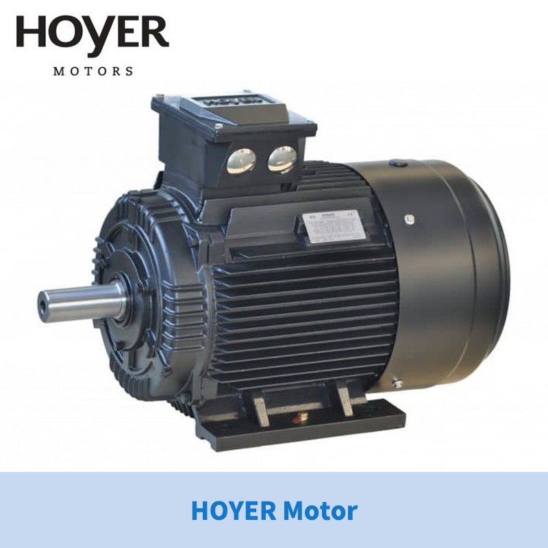 供应丹麦HOYER电机HOYER Motors霍尔三相异步电机/工业/船用电机图2