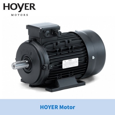 供应丹麦HOYER电机HOYER Motors霍尔三相异步电机/工业/船用电机