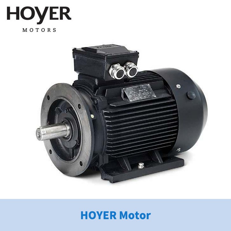 供应丹麦HOYER电机HOYER Motors霍尔三相异步电机/工业/船用电机图4