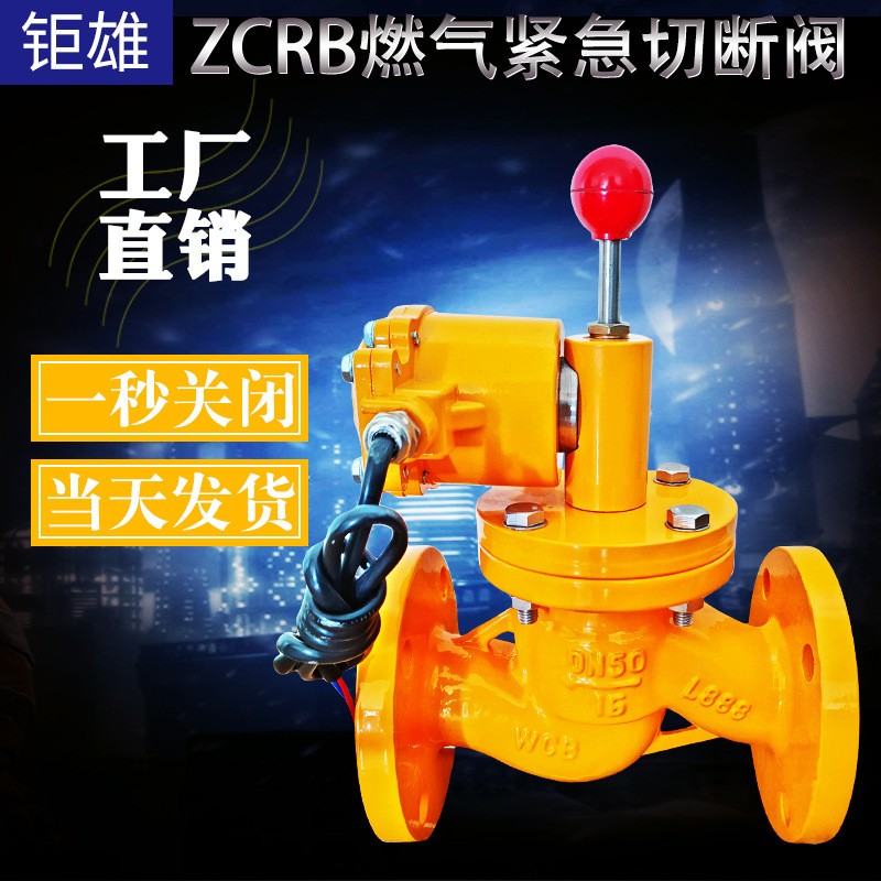ZCRB法兰自动紧急切断阀 煤气 天燃气电磁阀 电磁式燃气阀门 100 1个图2