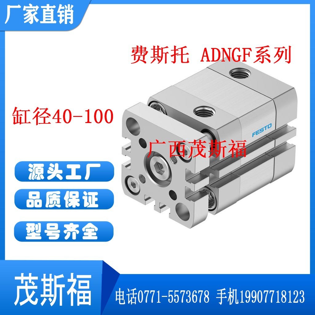 FESTO费斯托 气动小型ADNGF系列 缸径40-100 紧凑型活塞杆气缸 1个图2