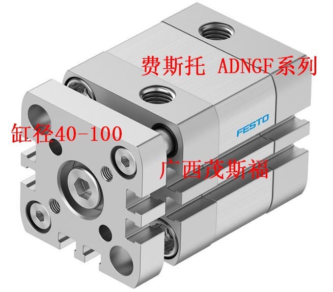 FESTO费斯托 气动小型ADNGF系列 缸径40-100 紧凑型活塞杆气缸 1个图4