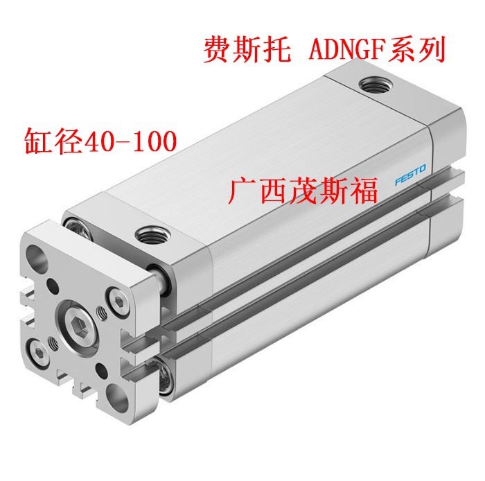 FESTO费斯托 气动小型ADNGF系列 缸径40-100 紧凑型活塞杆气缸 1个图5