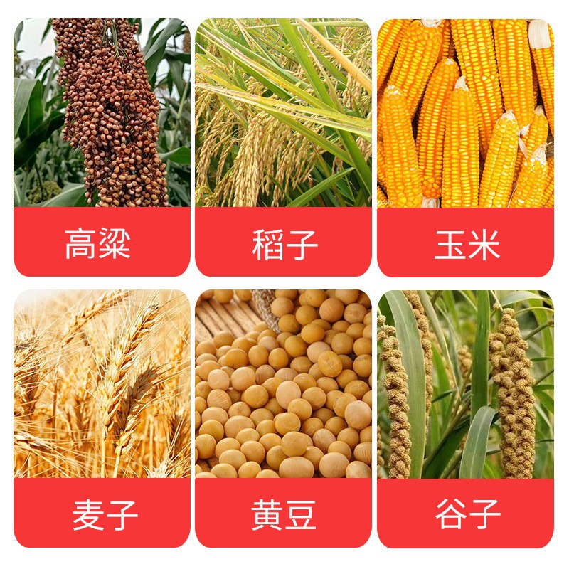 多功能脱粒机家用玉米撕皮脱粒机小麦水稻大豆谷子高梁脱粒筛选机图3
