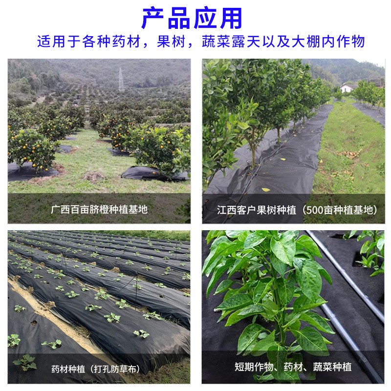防草布厂家供应打孔切片防草除草无纺布 透气透水农用黑色盖草布图3