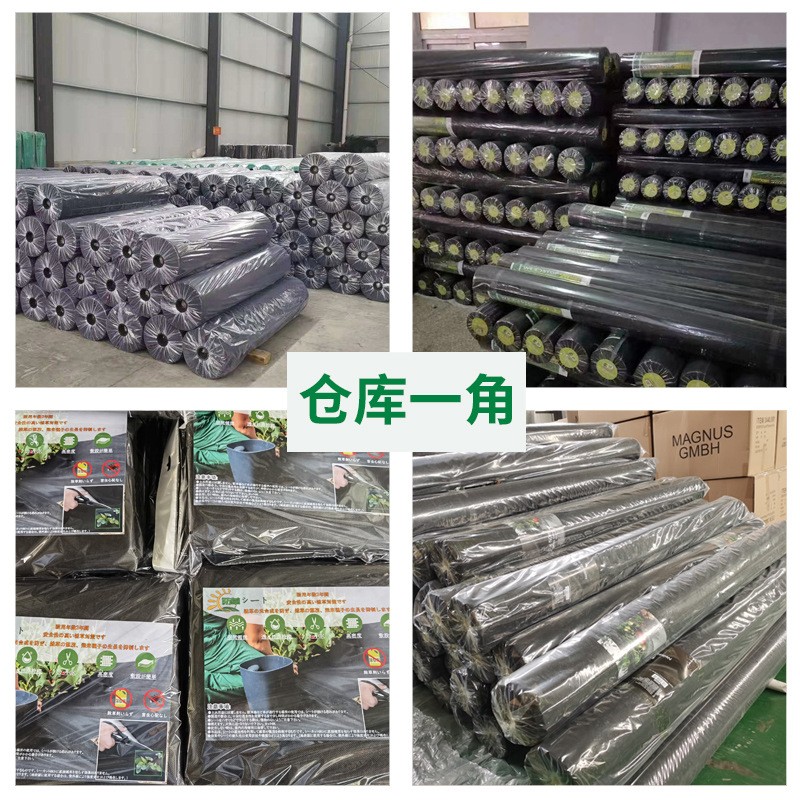 防草布厂家供应打孔切片防草除草无纺布 透气透水农用黑色盖草布图4