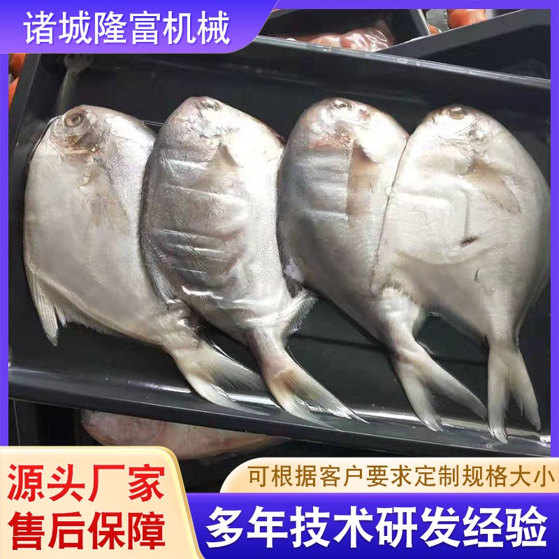 厂家供应贴体真空包装机 全自动食品包装机械 熟食鲜肉贴体包装机图4