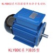 KLYBDC系列100L单相防爆异步电机220V防爆电机  1台图4