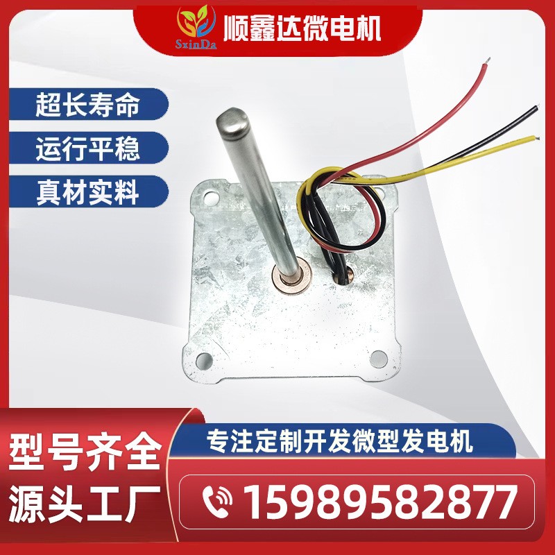 20W手摇发电机/微型发电机/20W风力发电机  5台图5