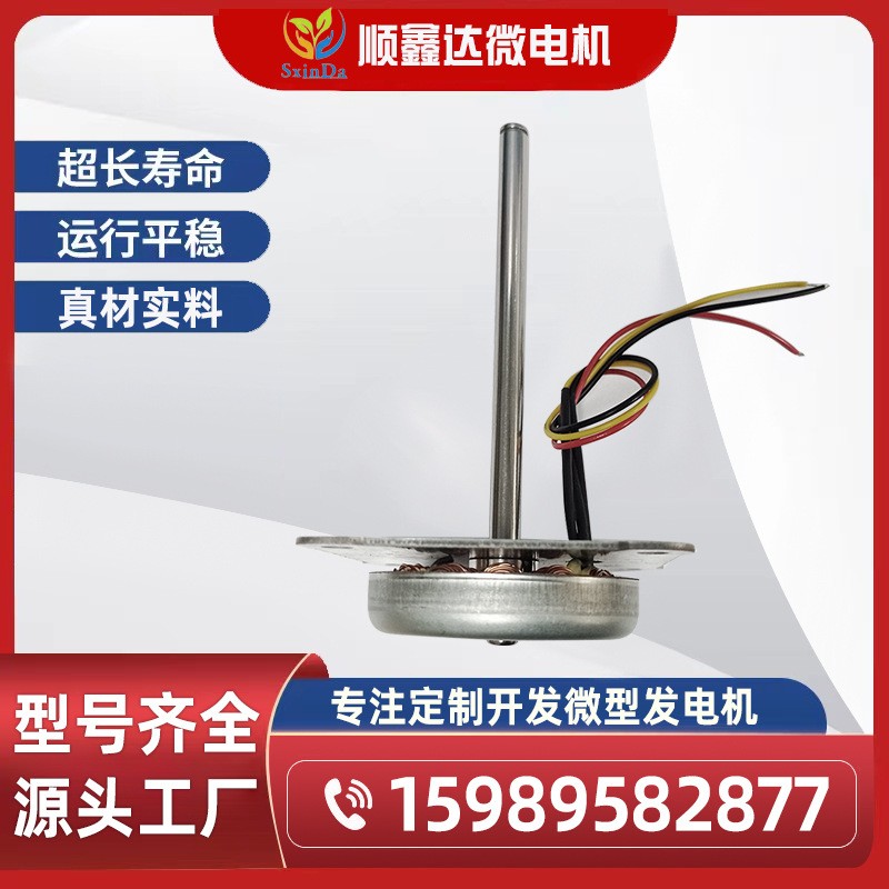 20W手摇发电机/微型发电机/20W风力发电机  5台图4