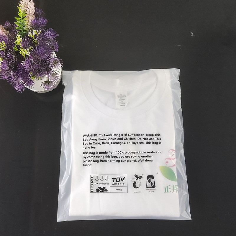磨砂半透明PLA袋子现货 可降解饰品服装包装袋 全生物降 解自粘袋图4