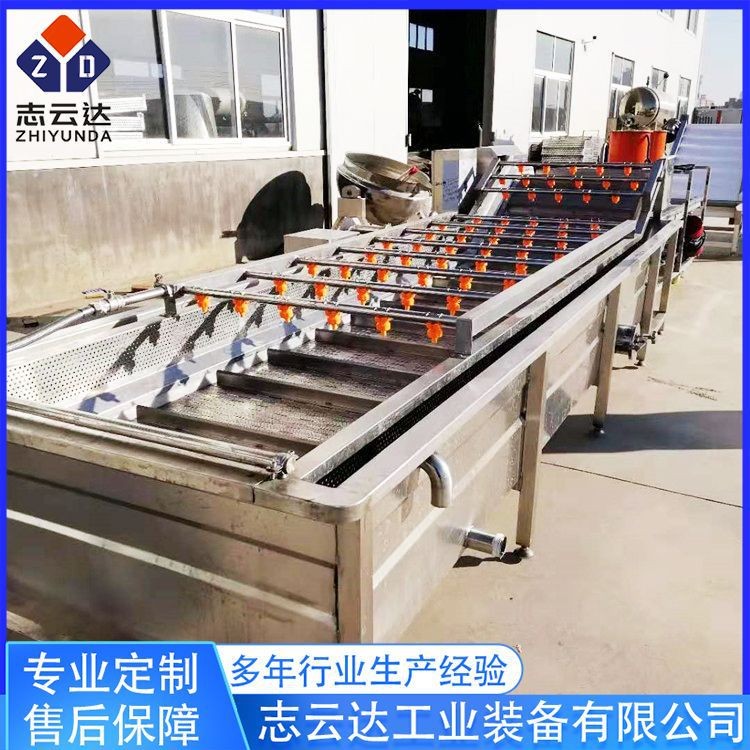 全自动果蔬清洗风干线设备 苦菜清洗流水线 莴苣清洗流水线设备图2