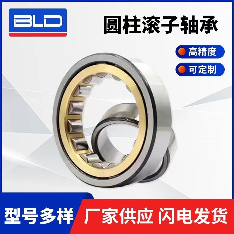 精密电机轴承N NU NJ305 NJ306 NJ307 NJ308 NJ3 09EM圆柱滚子轴承  1个图5
