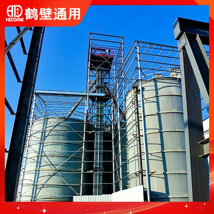 厂家直供斗式提升机加强型链条分体式链轮省人工砂石提升机NE100图2