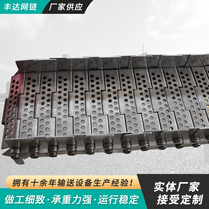 排屑机链板304不锈钢冲孔链板 厂家直供核桃清洗烘干链板输送链板图4