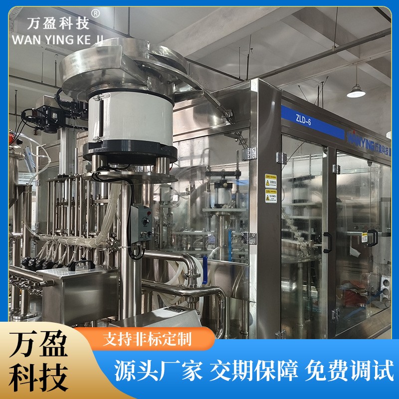 全自动自立袋吸嘴袋灌装机果汁豆浆富氢水豆浆罐装机定量灌装设备图2