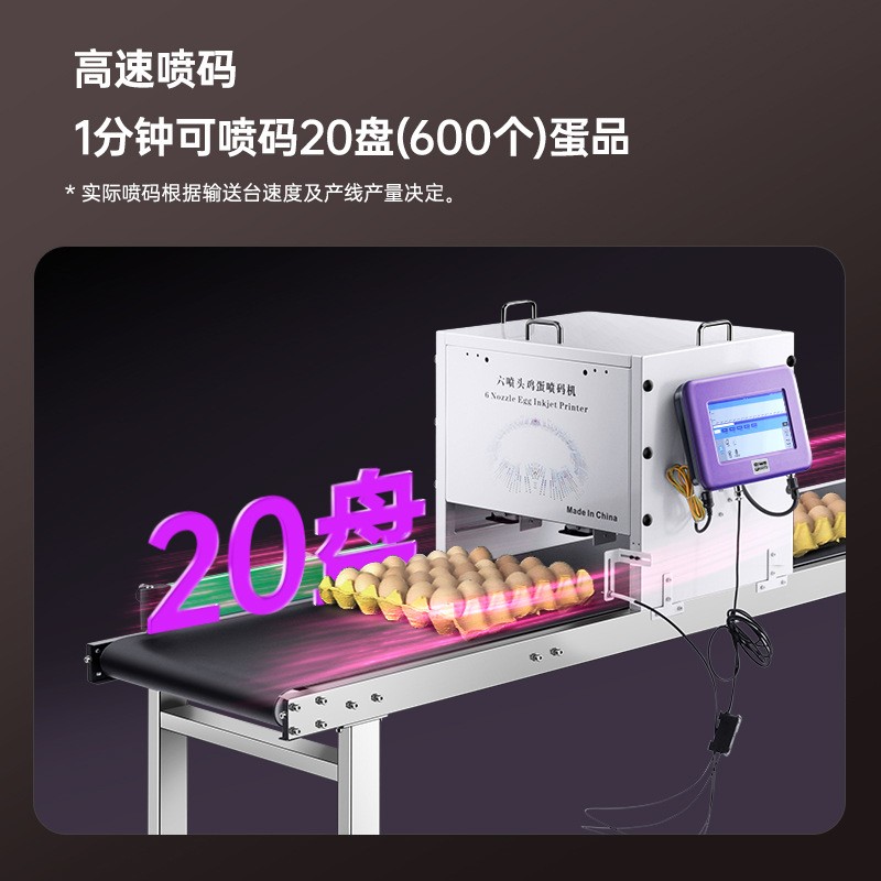 全自动流水线六喷头鸡蛋喷码机打生产日期图形流水线在线打码机图3
