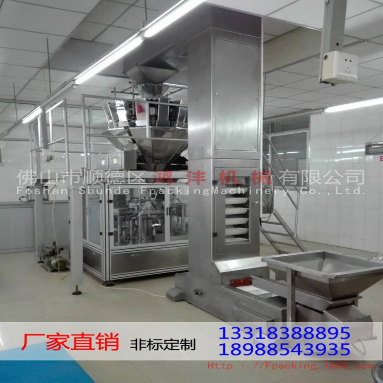 厂家直销 供应 Z型塑料斗式物料提升机 高品质 性价比高图3