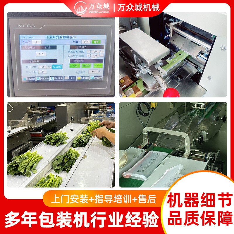 枕式包装机全自动蔬菜水果食品套袋打包机日用品五金多功能包装机图4