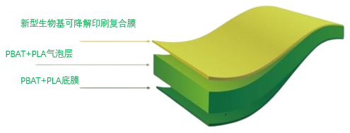         新型生物基可降解气泡袋结构