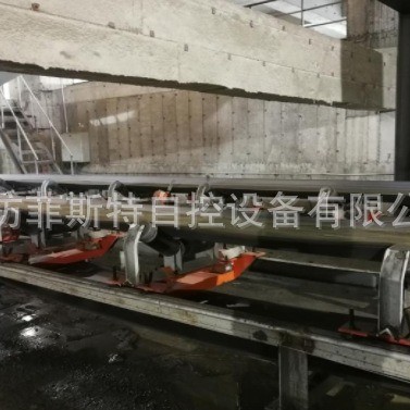 菲斯特阵列式电子皮带秤 矿用序列式电子皮带秤 精度高 好维护图3