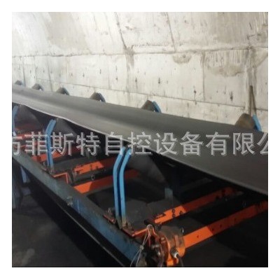 菲斯特阵列式电子皮带秤 矿用序列式电子皮带秤 精度高 好维护