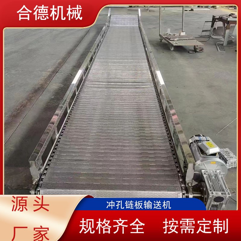 链板输送机耐高温食品烘干输送带餐厨垃圾传动链图2